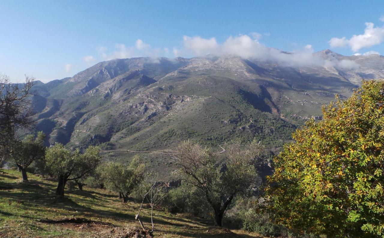 Cortijo Luque Villa Nerja Ngoại thất bức ảnh