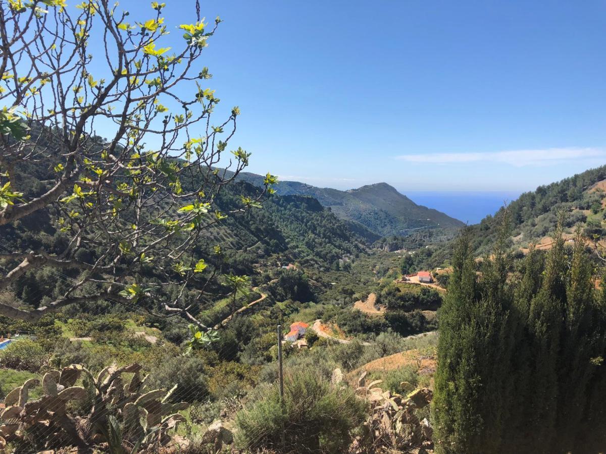 Cortijo Luque Villa Nerja Ngoại thất bức ảnh